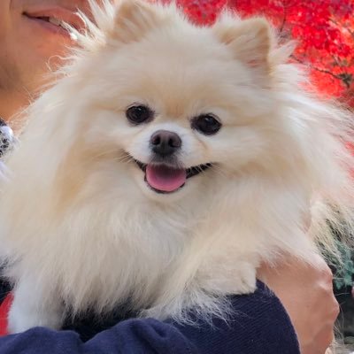 mitsue37's profile picture. 