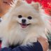 ☆☆M☆☆ (@mitsue37) Twitter profile photo ☆☆M☆☆ (@mitsue37) Twitter profile photo