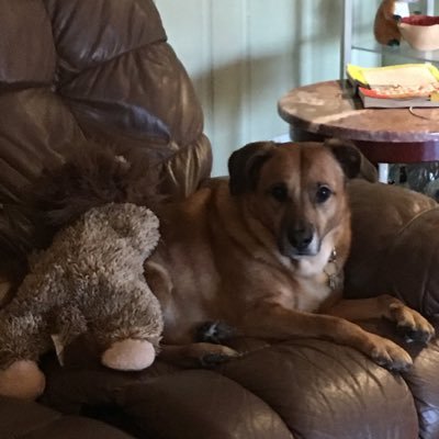 jethropuppylov1's profile picture. 