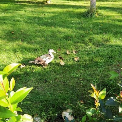 Gasa55517950's profile picture. náutica, economia