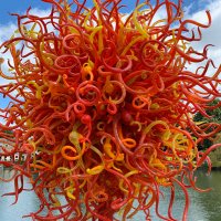 Poppy Watt (@poppywatt1) 's Twitter Profile Photo