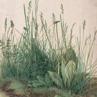 SHI_yanjuan's profile picture. 夏始春余，叶嫩花初。