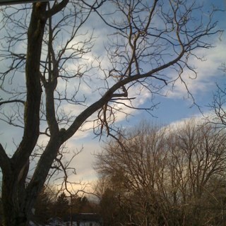 CHRIS_STUKER's profile picture. skateboarder