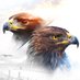 War Eagle (@WarEagle) Twitter profile photo