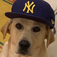Adrien Ferreira (@quessamerda) 's Twitter Profile
