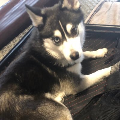 JustKBC's profile picture. Family, reading, technology, automation, renovation.