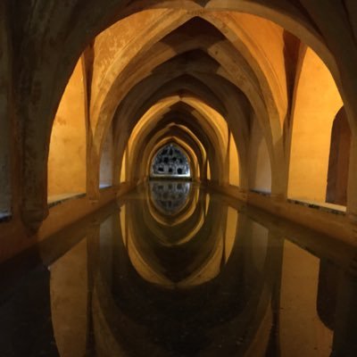 ZarateEo's profile picture. 