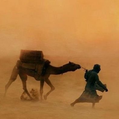 لا تخف ان الله معنا
___________________
ثمرة العمر صلاه وعلم غانم
اللهم اغفر لوالدي ووالدتي اللهم ارزقني الذريه الصالحه ويسر امري لما تحب وترضى