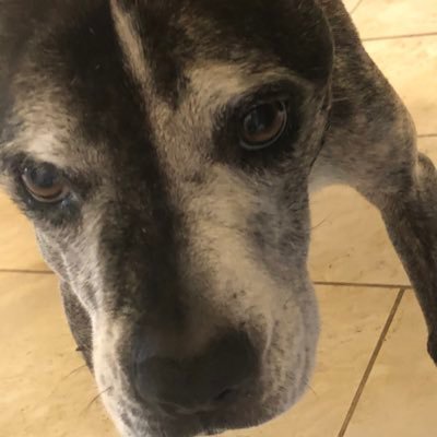 johnboccuzzi27's profile picture. free thinker