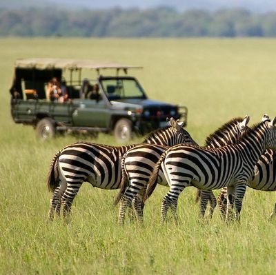 LinnaNyaboke's profile picture. proud mother does supplies , I am a researcher and software developer , incoming canadian.