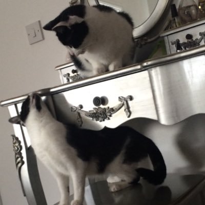 ClaireDickman1's profile picture. 