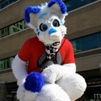 bark first ask questions later (@takkunad) 's Twitter Profile