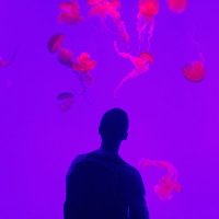 Joe Palermo (@joepalerm0) 's Twitter Profile Photo Joe Palermo (@joepalerm0) 's Twitter Profile Photo