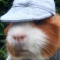 Jason Wool (@jasonwool_) 's Twitter Profile