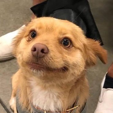 matrbk's profile picture. 