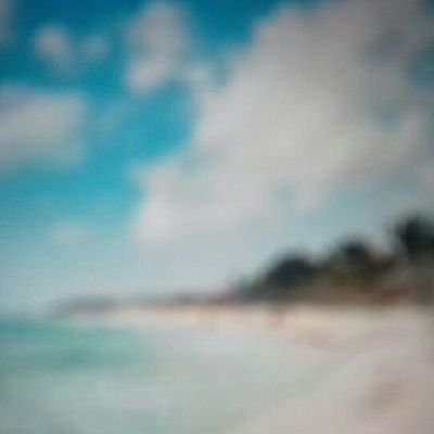 Mariomateos4's profile picture. viajar