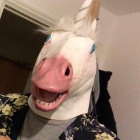 Jake Haynes (@haynes_jake) 's Twitter Profile