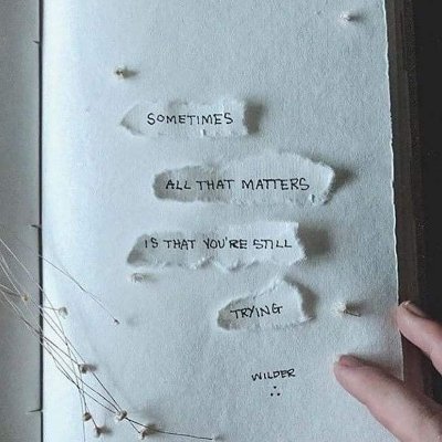 poptart124311's profile picture. Just a person.