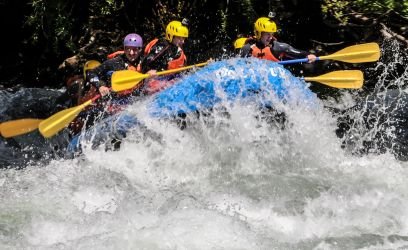 StellaMrsi's profile picture. 