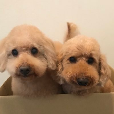 mikiko44145953's profile picture. 