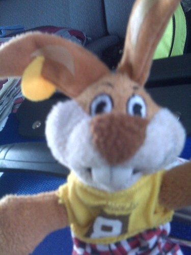 CATENNA's profile picture. Da buona casalinga mi interesso del mondo cybernetico;svagando su siti di vario interesse.