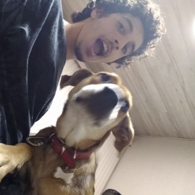 BeltraoKevin's profile picture. a procura de tempos perdidos