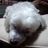 narashino1111's profile image