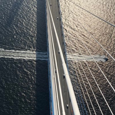 voa010's profile picture. 