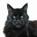 DevilTads (@deviltads) Twitter profile photo DevilTads (@deviltads) Twitter profile photo
