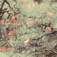 RW (@rwerigo) 's Twitter Profile