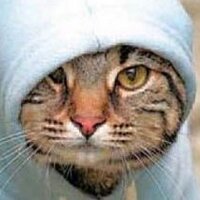 SOBA(脱原発と国民の生活が第一) (@28soba) 's Twitter Profile