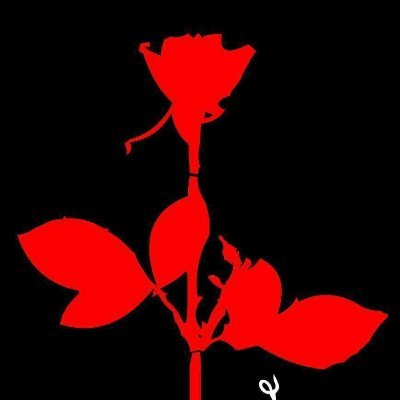 JuanVil25395145's profile picture. Originalidad y presencia, pero sobre todo humildad.