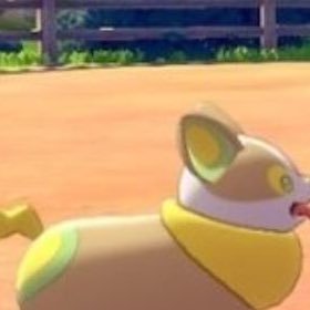 wannpachi_'s profile picture. イヌヌワン！！（ソニアのワンパチです。この世にポケモン数いれど、美人ポケモン博士の飼いポケのぼくより勝ち組はそうそういないよ。）