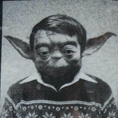 Arashx12's profile picture. :[