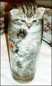 doubledots's profile picture. Fashion
IT
Foods
iPhone
Cats
Semiconductor