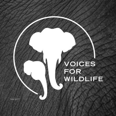 We're a coalition of conservation organisations (@WWFMyanmar @WCSMyanmar & more) campaigning to #EndWildlifeCrime in Myanmar. Join us now 🐘 🐅🐢