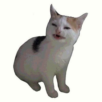 AngriiWang's profile picture. Daily Rage.