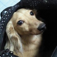 you (@kotaro20040801) 's Twitter Profile