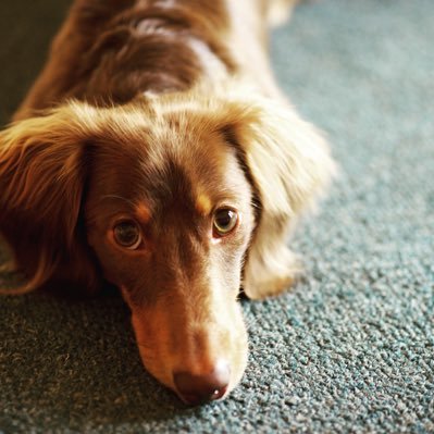 sakae04740063's profile picture. 一期一会