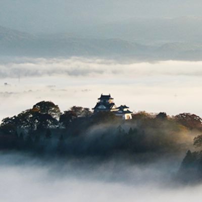 rui_kl's profile picture. こんな時代だからこそ自然に癒されてます…♪