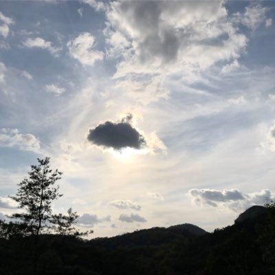 ゆるゆるのびのびぼーっと空や自然を眺めるのが好きです🌳DM等お返事できません🌿お許しください🌱