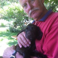 proselva/peter lindgren (@proselva) 's Twitter Profile Photo