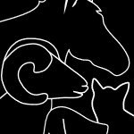 A first opinion practice providing high quality veterinary care to small animals, horses and farm animals in Pendle, Burnley and surrounding areas.