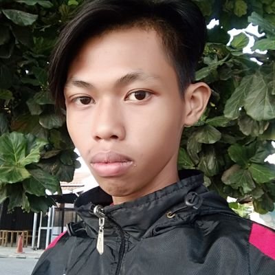 Teguhwahyudin10's profile picture. Game