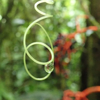 BodilisCarole's profile picture. Customer Success Manager @Opendatasoft 
#OpenData enthousiaste