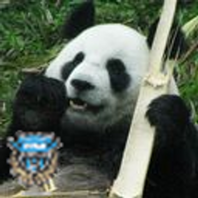 田中直樹 ナンガ(^O^)σ on X: 