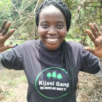 Kijani Gang (@kijanig) 's Twitter Profile