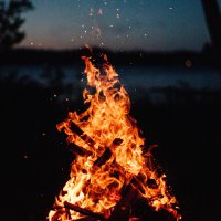 FireCookOfTheYear® (@fcoty2021) 's Twitter Profile