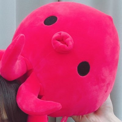 matyumotyo_0331's profile picture. だいがくせい｜ハニワ｜アイ生