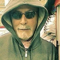 Pedro Azael (@pedroazael) 's Twitter Profile